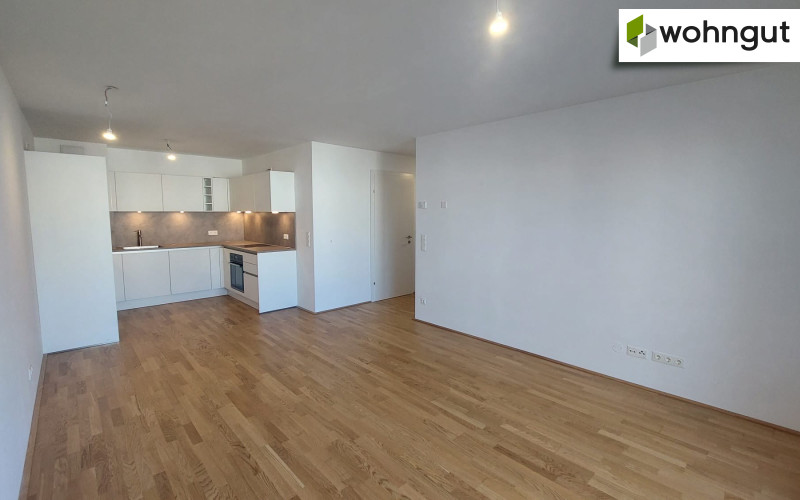 Linzer Strasse / Tür 117